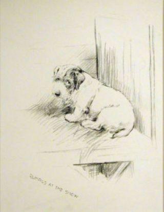 K.  F.  Barker 1937 Sealyham Terrier Vintage Art Adorable Rumpus At The Dog Show