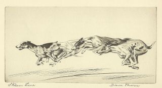 Rare Dog Print 1935 By Diana Thorne Racing Coursing Greyhound
