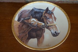 Plate American Artists Patience Fred Stone 1991 Horse Pony Colt 6.  5 " 15329 Usa