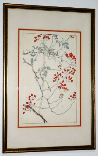 Framed Japanese Shin Hanga Woodblock Print Kacho - E Botanical Flower With Seal