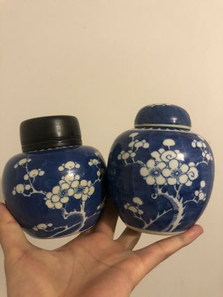 2 Antique Chinese B&w Porcelain Ginger Jar Plum Blossom
