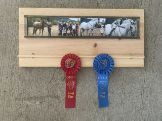 Ribbon Rack And Picture Frame,  Horse Show Ribbons,  Livestock Show Ribbons