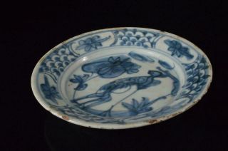 X9258: Chinese Blue&white Bird Flower Muffle Painting Ornamental Plate/dish