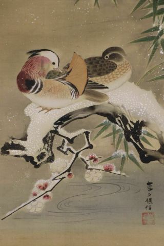 Japanese Hanging Scroll Art Painting " Mandarin Ducks " Asian Antique E4018