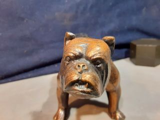Vintage Copper Over Metal Growling Bulldog