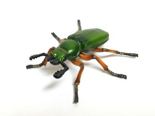 Kaiyodo Capsule Museum Q Platycerus Stag Beetle Insect Animal Figure Choco Q