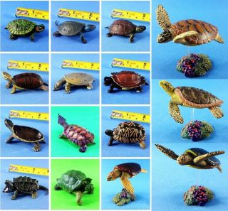 Japan Takara Tomy Yujin Land Sea Turtle Reptile Tortoise Figure Model Set 15pcs 2