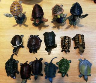 Japan Takara Tomy Yujin Land Sea Turtle Reptile Tortoise Figure Model Set 15pcs 3