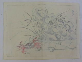 Flower,  crab :Japanese print,  Kyosai 2