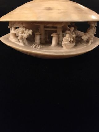 Antique Chinese Hand Carved Clam Shell With Village Scene