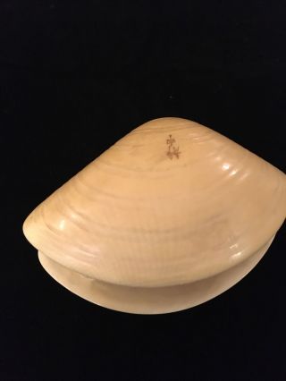 ANTIQUE CHINESE HAND CARVED CLAM SHELL WITH VILLAGE SCENE 3