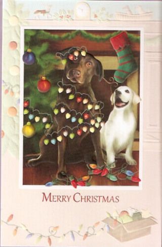Labrador Retriever Lab Another Fine Mess Embossed Christmas Cards Box Of 16^