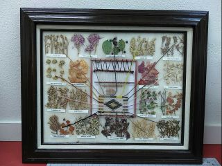 Vintage 1987 Navajo Dye Chart & Loom Weave Framed Art Signed 26 " ×22 "