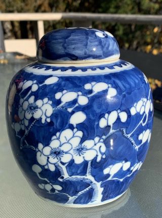 Antique Chinese Porcelain Blue And White Prunus Ginger Jar Xangxi Double Ring