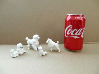 4 Vintage Miniature Porcelain Ceramic White Poodle Figurines 2