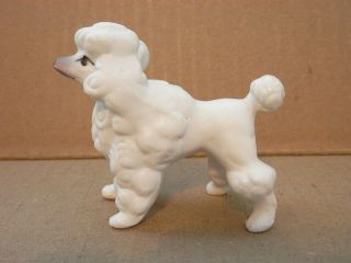 4 Vintage Miniature Porcelain Ceramic White Poodle Figurines 3