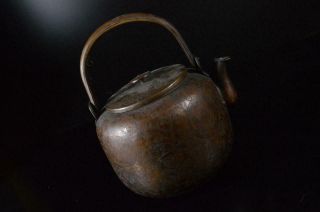 X8118: Japanese XF Old Copper Flower Family crest sculpture BOTTLE Teapot Dobin 3