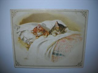 Kittens Sleep On Pillows In Bed Victorian Card From Scrapbook Chromolithograph