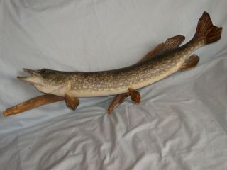 Vintage Mount,  25 " Northern Pike Walleye Musky Fish Taxidermy