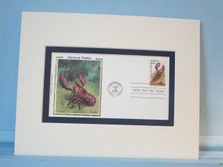 American Sea Llife - The Lobster & First Day Cover Of Its Own Stamp