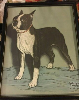 Vintage Gladys Emerson Cook French Bulldog Dog Print Framed 11 " X 14 "