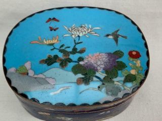 Very Fine Vintage Chinese Cloisonné Enamel Floral & Bird Decorated Box.