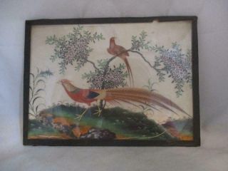 19th Century Chinese Rice Paper Painting Birds