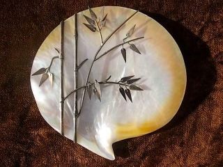 1552 / Mid 20th Century Chinese Mother Of Pearl Shell With Silver Plated Bamboo