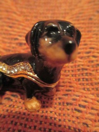 61124 THE DOXIE PUP JEWELED & ENAMEL TRINKET BOX BOUTIQUE MINIATURE 3