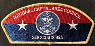 National Capital Area Council Oa 470 Amangamek - Wipit Patch Tan Sea Scouts Csp