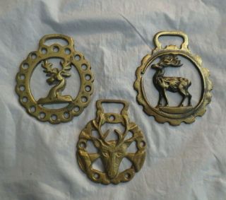 Vintage Brass Bridal Harness Medallions - Set Of 3 - Deer Stag With Antlers