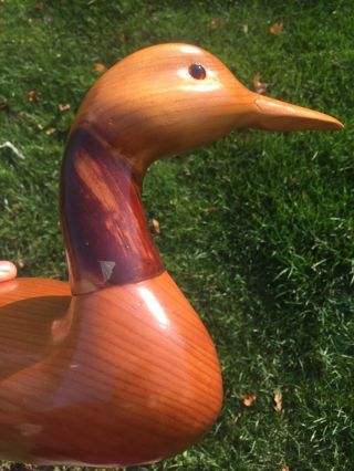 Vintage - All Wood Life Size Hand Carved Loon With Glass Eyes