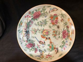 Rose Canton Chinese Export Porcelain 10 " Plate Celadon Fab Butterflies,  Peonies,