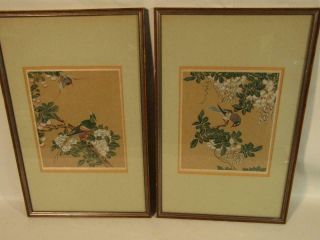 Pair Old Japanese Watercolor Paintings Exotic Birds - Framed 20 " X 12 "