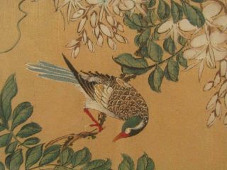 PAIR OLD JAPANESE WATERCOLOR PAINTINGS EXOTIC BIRDS - FRAMED 20 
