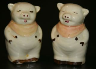 Vintage Mid - Century Glass Salt & Pepper Shakers: Fat Pigs