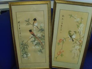 Chinese Painting Framed With Silk Border Ink & Water Colour Of Flowers & Birds