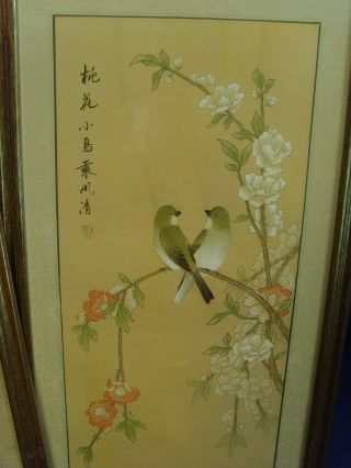 Chinese Painting framed with Silk border Ink & Water colour of flowers & Birds 3