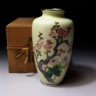 @we35: Vintage Japanese Shippo Cloisonne Enamel Vase,  Wired,  Plum Tree