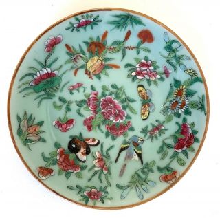 Chinese Antique Porcelain Plate Tongzhi Bird Butterfly Celadon Famille Rose