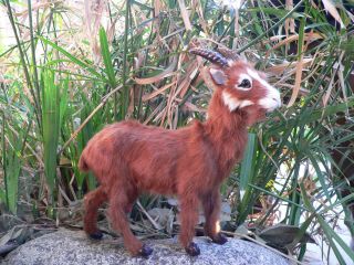 Miniature Goat Ooak Doll Or Fairy Pal Farmhouse Gift Idea Farm Party Decor