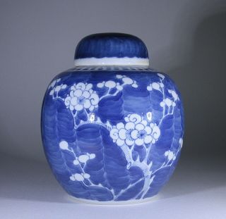 Antique Chinese Blue & White Ginger Jar And Cover Flowing Prunus