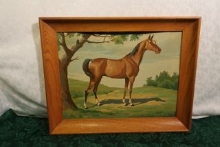Framed Horse Paint By Number Neatly Done Nr 18 3/4 " X 14 3/4 "