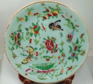 Antique 19th Century Chinese Canton Celadon Porcelain Plate Famille Rose