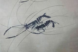 Very Large Painting Old Chinese Hand Painted Shrimps 