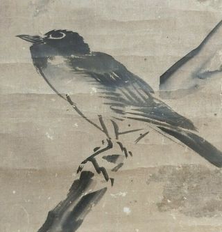 J266: Japanese Old Hanging Scroll Bird On Branch With Great Taste.