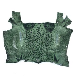 Bufo Marinus Cane Toad Skin Taxidermy Dyed Craft Leather Dark Green