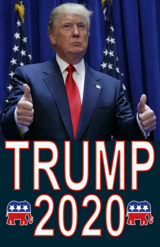 Donald Trump 2020 Presidential Campaign Poster