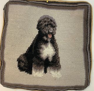 Portuguese Water Dog Needlepoint Pillowcase Velveteen Back W/zipper Cute 10”