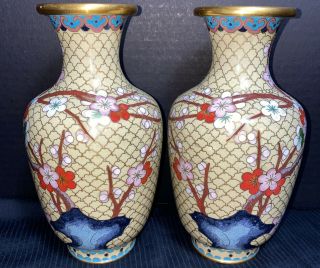 Chinese Cloisonne Vases Cherry Blossoms 7